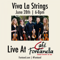 Viva La Strings