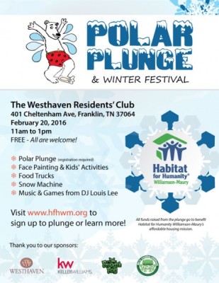 Polar Plunge & Winter Festival